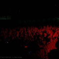 FiddlersGreenBandname_8235rockharz11j